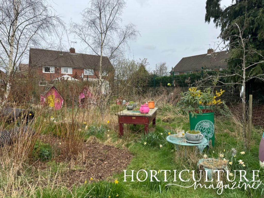overgrown woodland areas for wildlife in the wildlife corner at Oasis community gardens
