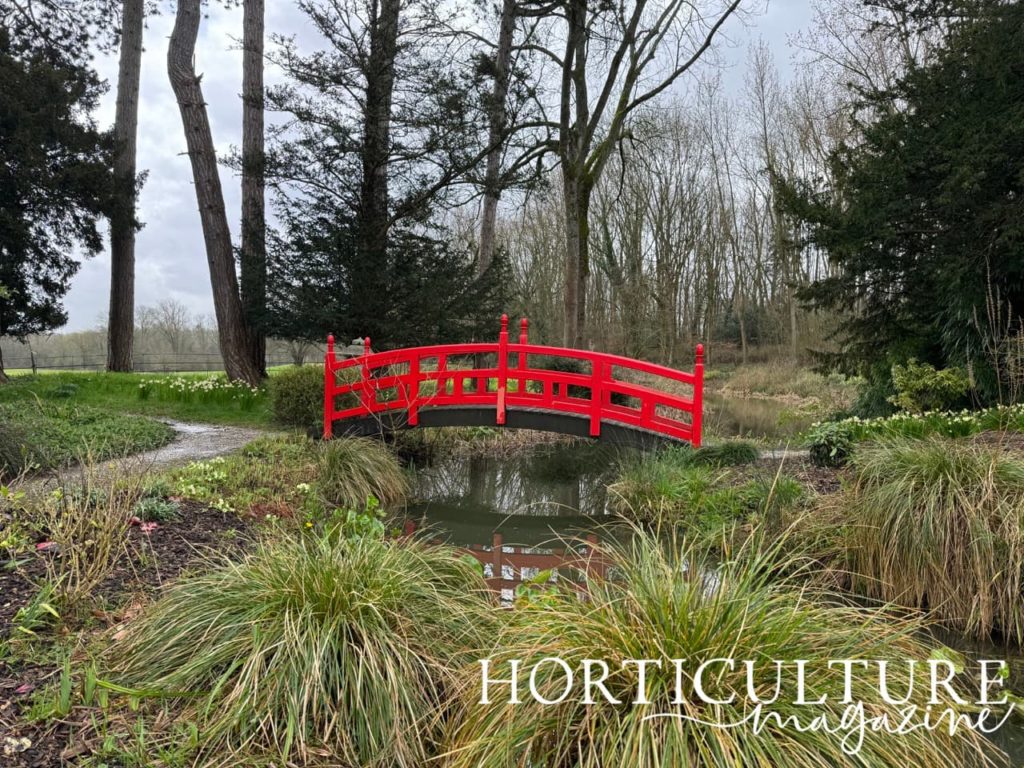 the arching red bridge in a Japanese garden over a small stream