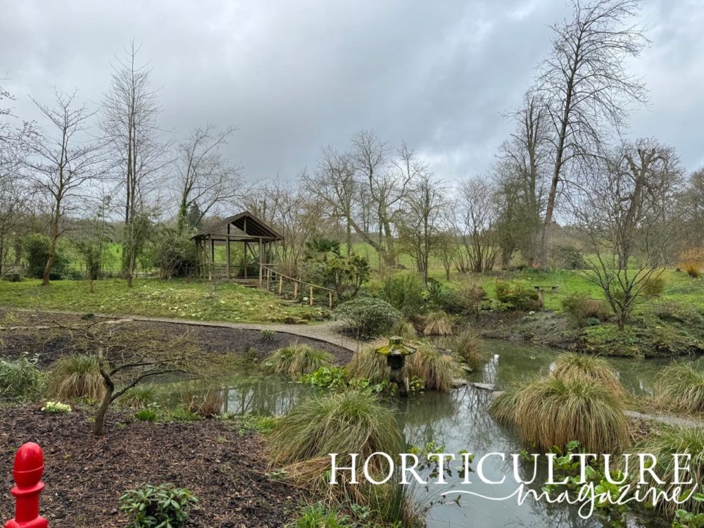 the Gatton Park Japanese gardens with a view of the tea hut from the bridge