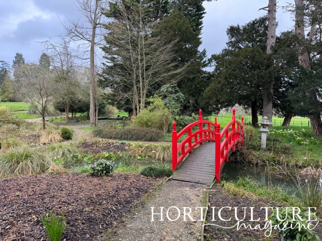 a view of the red bridge in the Japanese gardens at Gatton Park