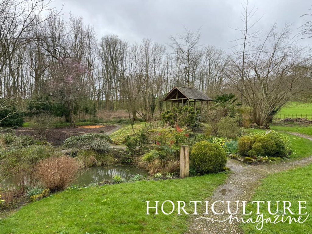 a snapshot of the small pond and tea hut overlooking the Japanese gardens at gatton park