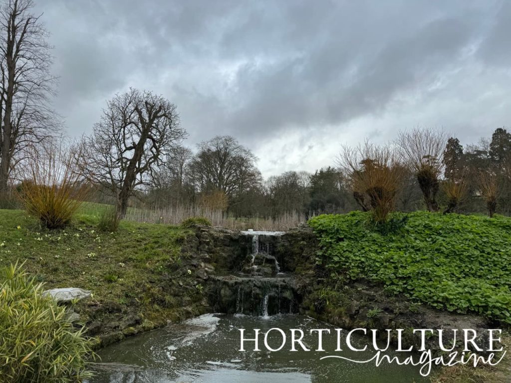 waterfall cascade at Gatton Park with tall bare trees in the background