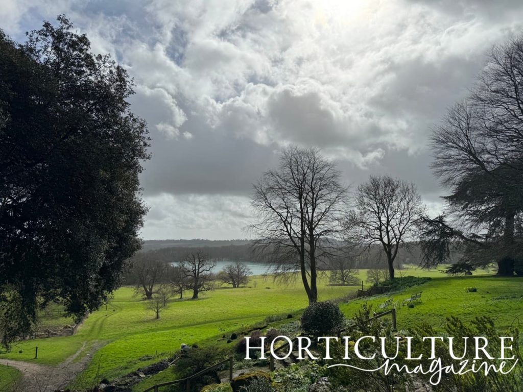 a view of the large lake and parkland at Gatton park
