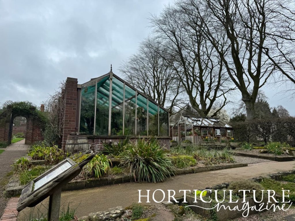 two of the main glasshouses in the garden at Winterbourne