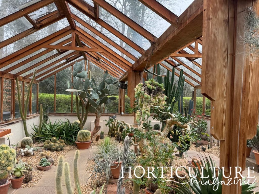 the cacti and succulent house at Winterbourne