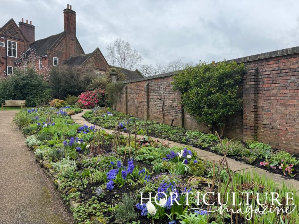 the pink and blue herbaceous border in front of the house at Winterbourne