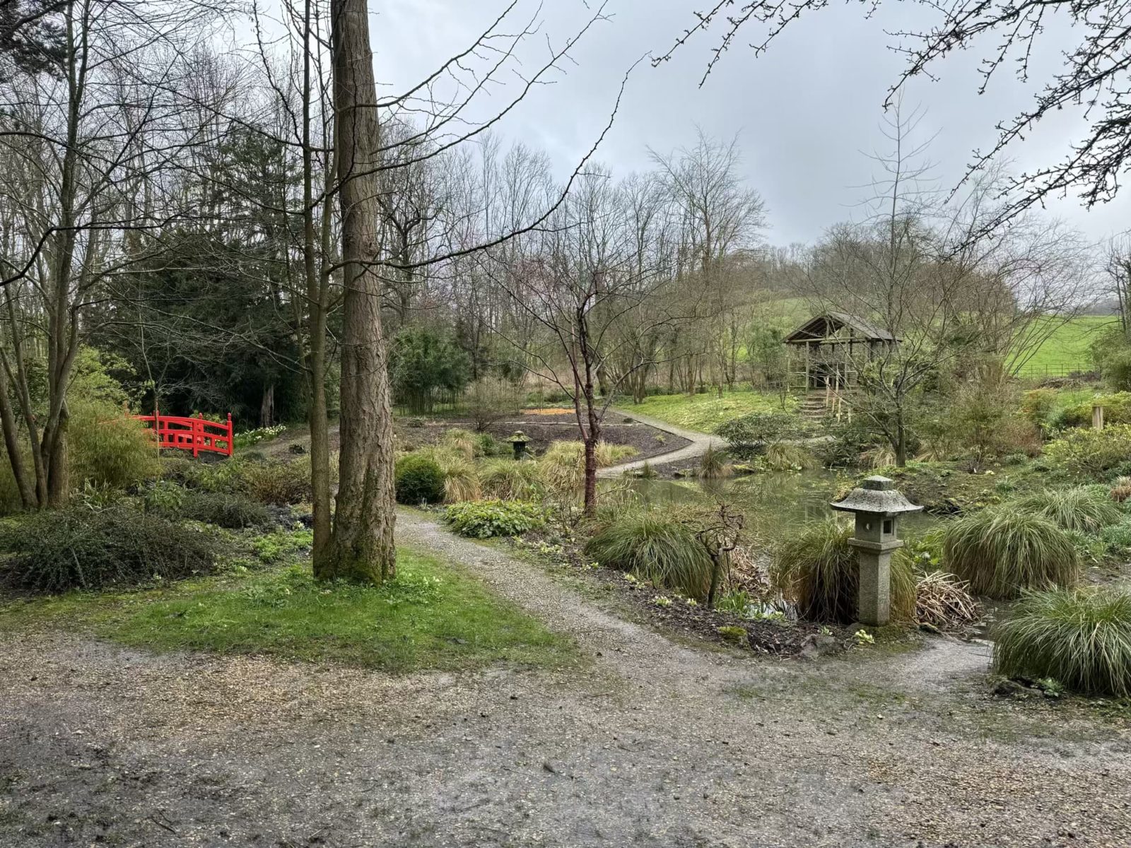 the Japanese garden at Gatton Park with a red bridge and a tea hut in the background
