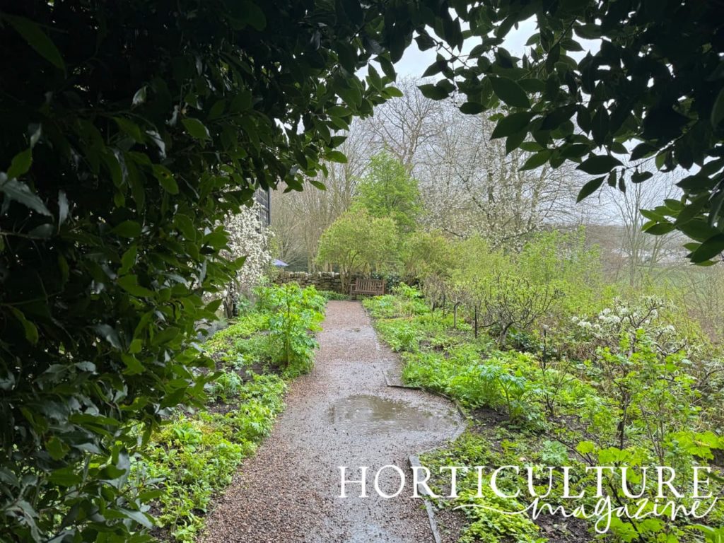 the herb garden full of green plants at East Riddlesden Hall