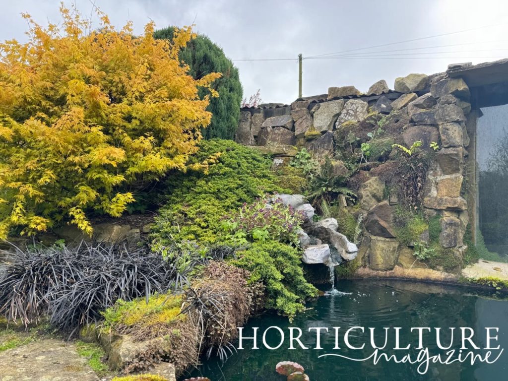 waterfall surrounded by Japanese-style plants at Pilmoor Cottages