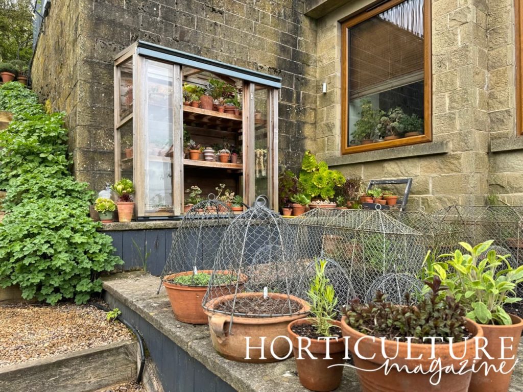 upright cold frame full of succulents in pots at Scape Lodge