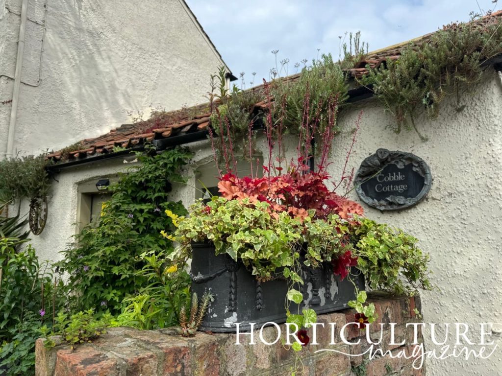 the entranceway to cobble cottage with a sign hung on the wall behind potted plants