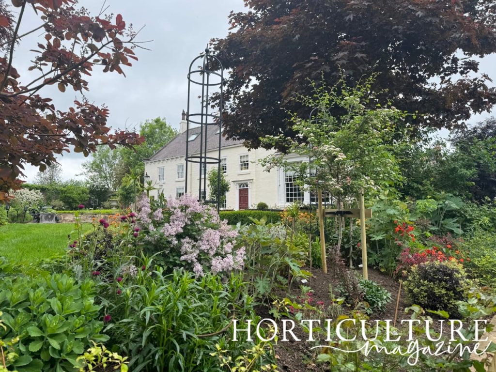 a colourful herbaceous border full of pink and red flowers in front of Prospect House