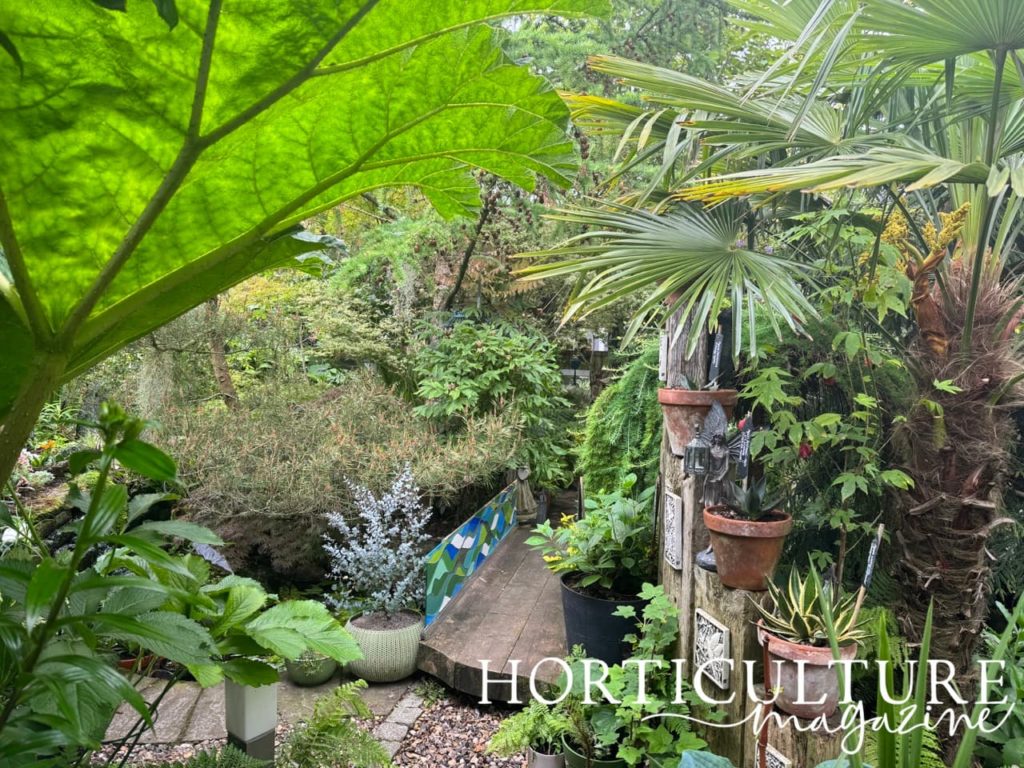 a homemade bridge next to various tropical plantings in Annemarie & Andrew's residential garden