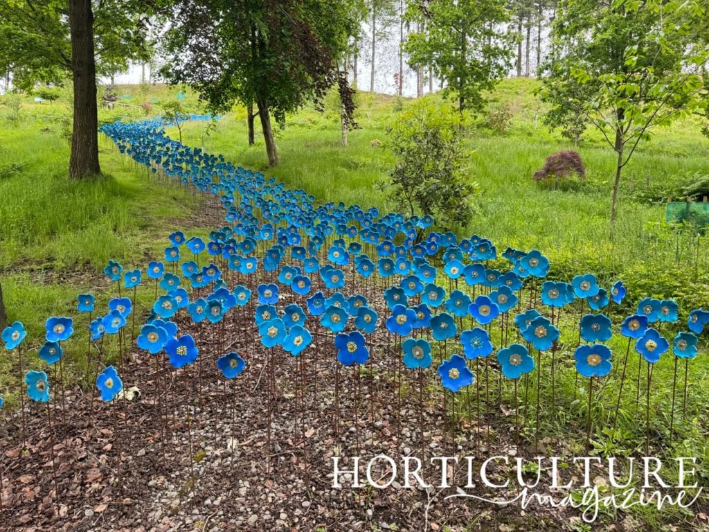 blue ceramic poppies creating a swooping cascade down a bank at Yorkshire Himalayan Garden and Sculpture Park
