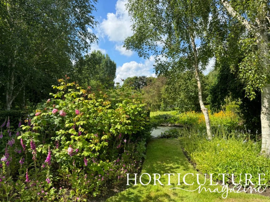 the pond at Swindon House Farm surrounded by pink flowering plants