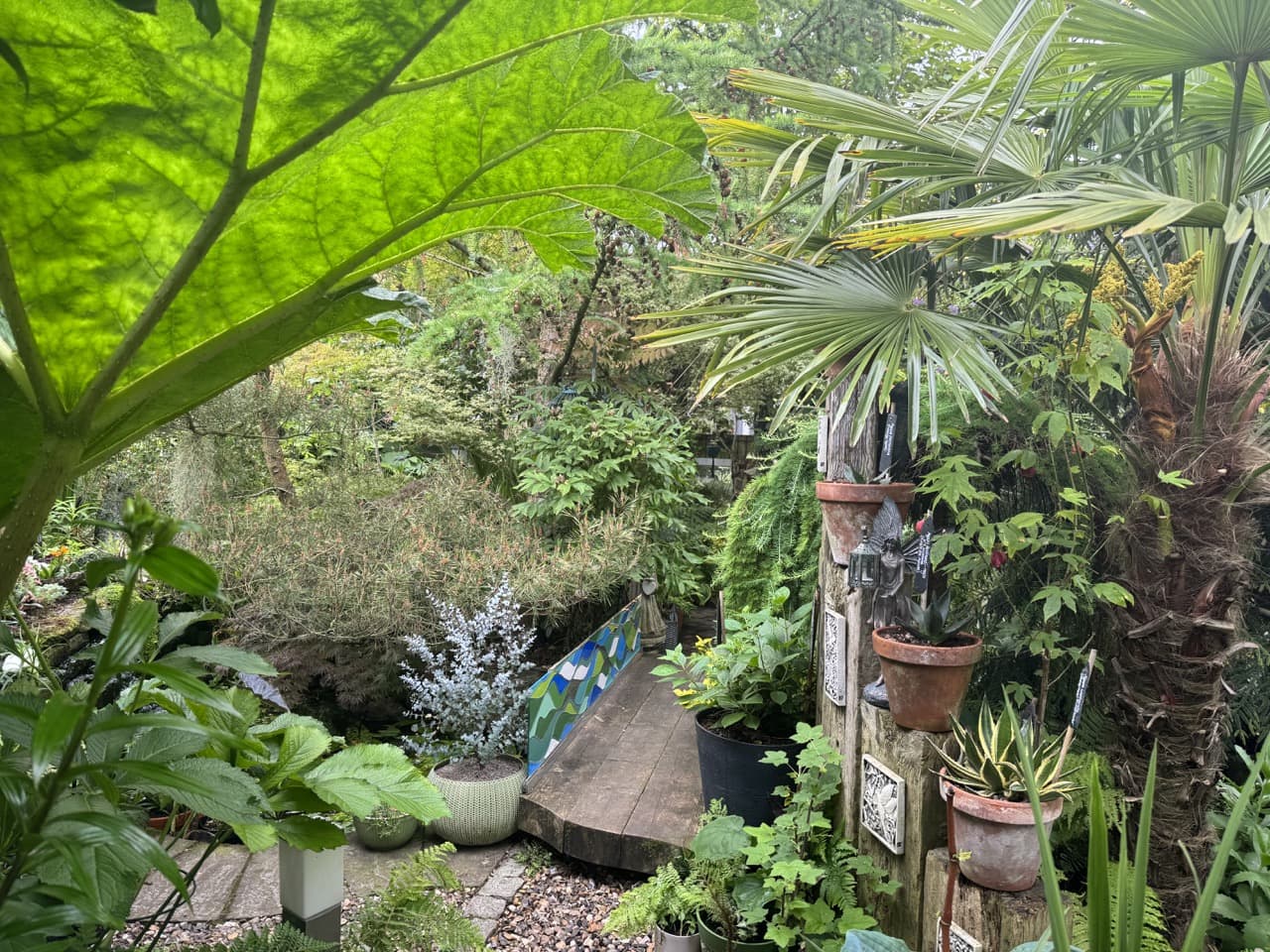 the jungle-like garden at 50 shades of green