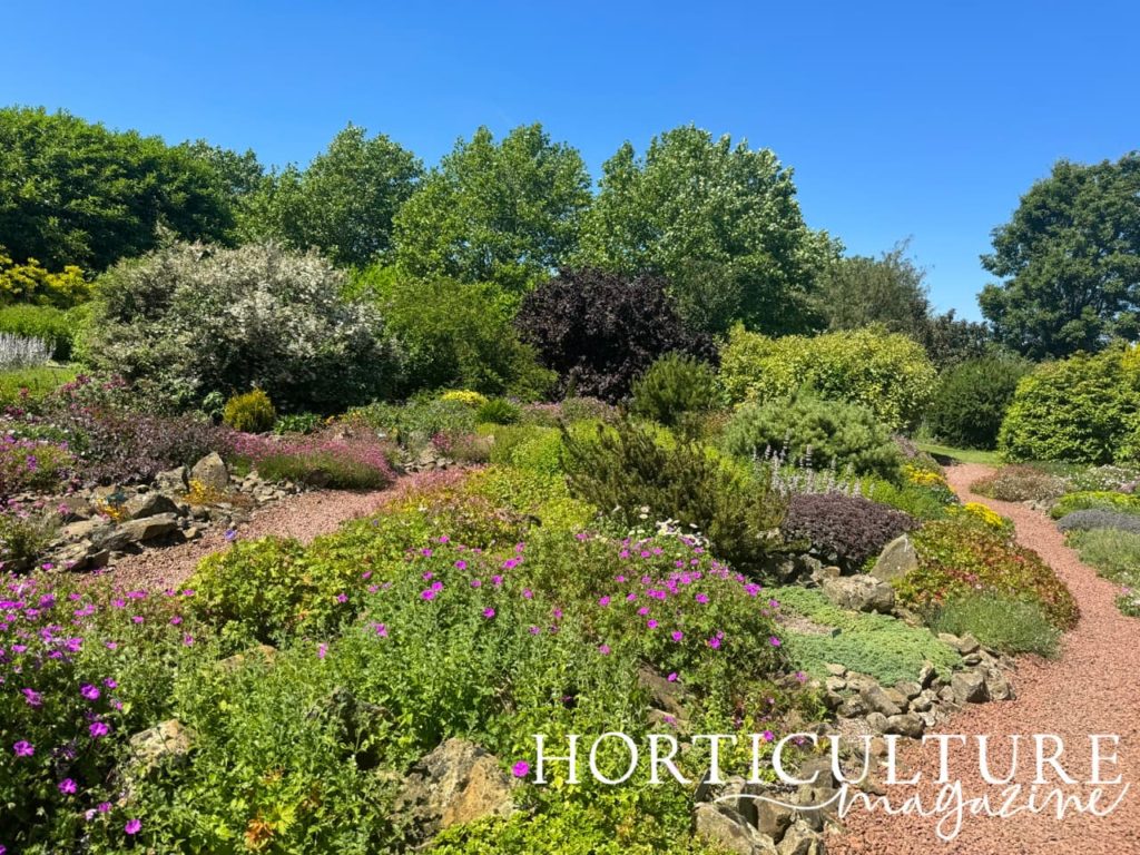 the rock garden with purple flowering geraniums in the foreground at Breezy Knees near York