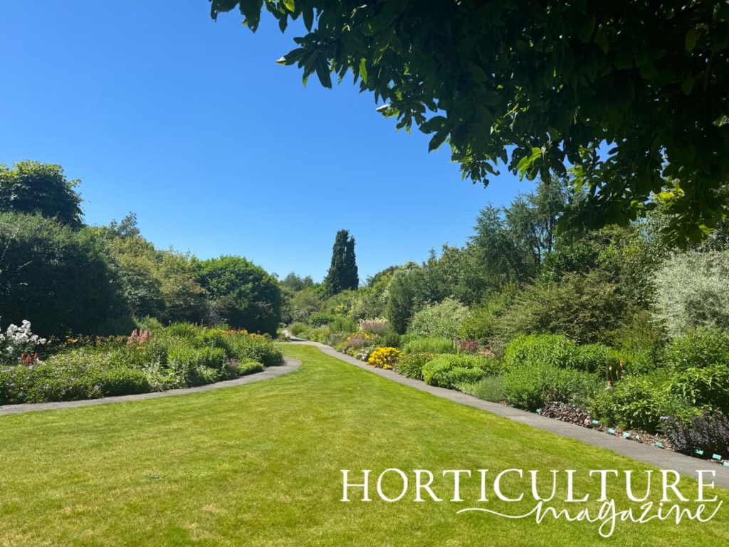 the lawn borders full of herbaceous colourful plants at Breezy Knees Gardens on a sunny day