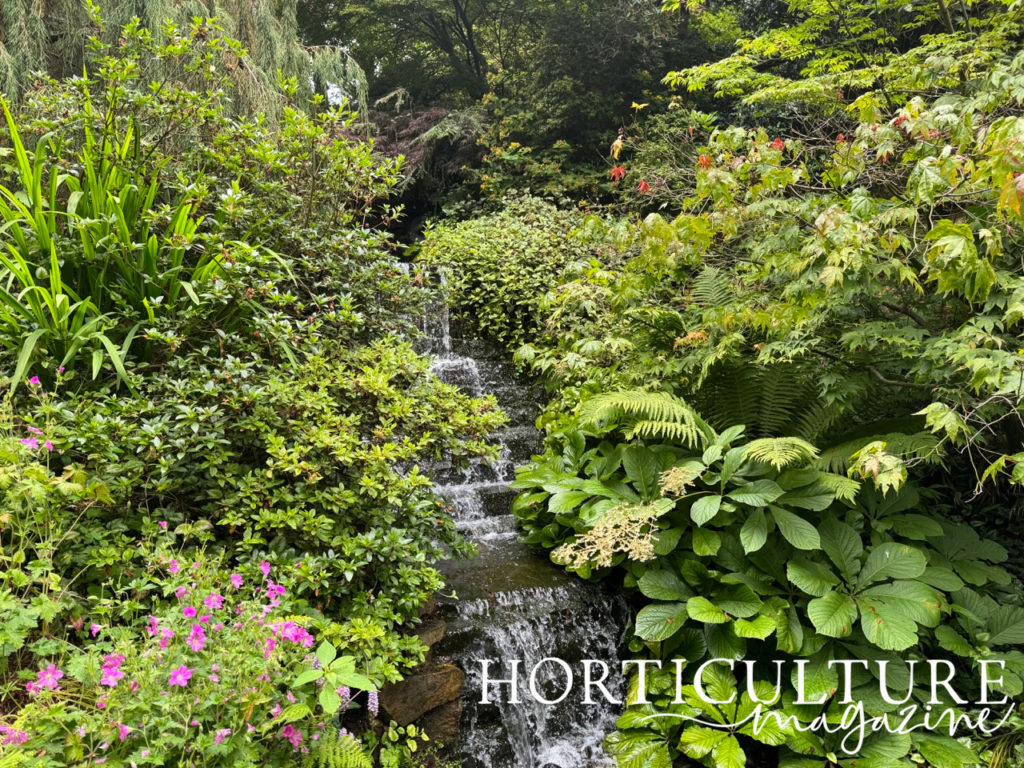 the waterfall in the quarry garden at Dorothy Clive, with pink flowering plants growing around it