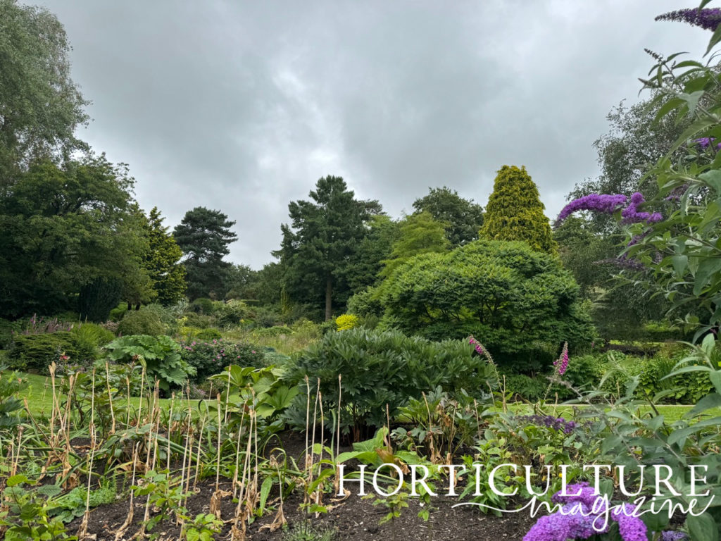 the herbaceous borders at the Dorothy Clive Garden