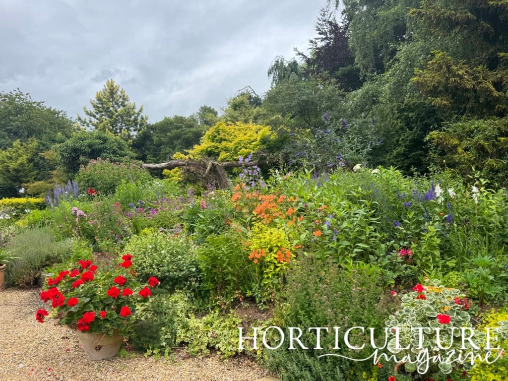 herbaceous plants growing in a border at Rowley House with red, orange, purple and white flowers