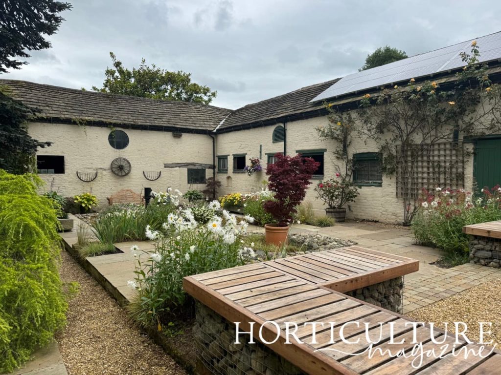 the patio garden at Rowley House planted up with daisy-like flowers and acers in pots
