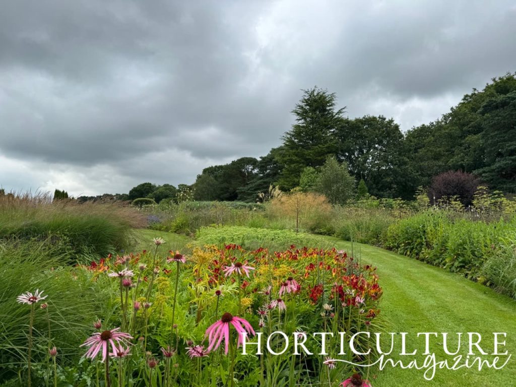 the prairie garden at Abbeywood Estate with pink echinacea in the foreground