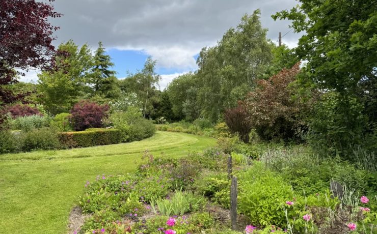 the borders at Birkhead's Secret Garden full of colourful flowers and trees