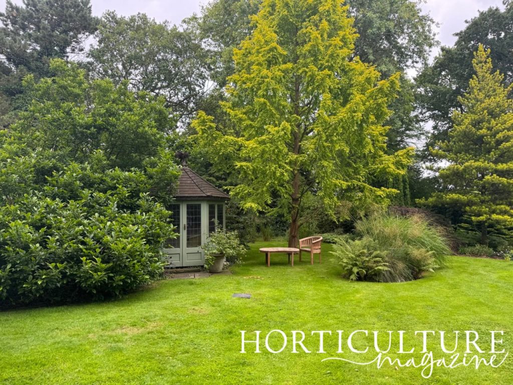 the summerhouse at Rowley House with a large golden-leaf tree growing next to it