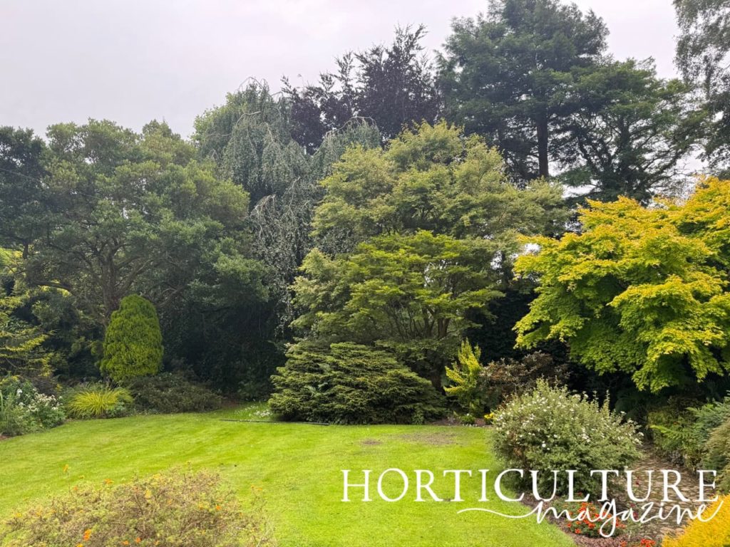 lots of large trees growing in the garden at Rowley House surrounding a grass lawn